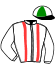 casaque portée par Verriere L. jockey du cheval de course L'ESPOIR D'ERI, information pmu ZETURF casaque portée par Verriere L. jockey du cheval de course L'ESPOIR D'ERI, information pmu ZETURF