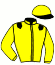 casaque portée par Lamaziere L. jockey du cheval de course ILLUSION DU VAL, information pmu ZETURF casaque portée par Lamaziere L. jockey du cheval de course ILLUSION DU VAL, information pmu ZETURF