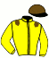 casaque portée par Guignon K. jockey du cheval de course MAGIC BREIZH (FR), information pmu ZETURF