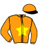 casaque portée par Henderson T. jockey du cheval de course HAPPY MAIL (FR), information pmu ZETURF