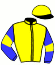 casaque portée par Nicoleau J. jockey du cheval de course PEINTRE FRANCAIS (FR), information pmu ZETURF