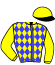 casaque portée par Marie B. jockey du cheval de course ZAMUJA (GB), information pmu ZETURF