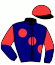 casaque portée par Vogt Mlle S. jockey du cheval de course GOURMET (FR), information pmu ZETURF