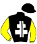 casaque portée par Cheyer Mme Per. jockey du cheval de course PRINCE LOS (FR), information pmu ZETURF