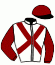 casaque portée par Lebouc Hug. jockey du cheval de course TREE OF STARS (FR), information pmu ZETURF