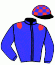 casaque portée par Boudot P. C. jockey du cheval de course DROGO (FR), information pmu ZETURF