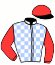 casaque portée par Rousset Y. jockey du cheval de course AHMED PRIDE (FR), information pmu ZETURF