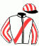 casaque portée par Pasquier S. jockey du cheval de course FREE BIRD, information pmu ZETURF
