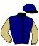 casaque portée par De Chitray A. jockey du cheval de course HANDS UP SIVOLA (FR), information pmu ZETURF