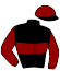 casaque portée par Besson F. jockey du cheval de course GOLFING DU MOULIN (FR), information pmu ZETURF