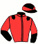 casaque portée par Prichard Mlle C. jockey du cheval de course SPRING OF DREAM (FR), information pmu ZETURF