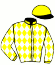 casaque portée par Guyon M. jockey du cheval de course MUSTAFFIZ, information pmu ZETURF