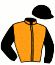 casaque portée par Hardouin E. jockey du cheval de course RANDONNEUR, information pmu ZETURF