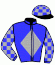 casaque portée par Androuin M. jockey du cheval de course GAYA DE LAUNAY, information pmu ZETURF