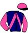 casaque portée par Roussel Ant. jockey du cheval de course DOM ALRON, information pmu ZETURF