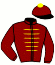 casaque portée par Seguy V. jockey du cheval de course OHEKA, information pmu ZETURF