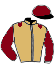 casaque portée par Hardouin E. jockey du cheval de course ANNA CARIBEA, information pmu ZETURF