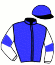 casaque portée par Prichard Mlle C. jockey du cheval de course HALLEGRO, information pmu ZETURF