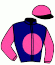 casaque portée par Lemaitre A. jockey du cheval de course ANOTHER QUEEN, information pmu ZETURF