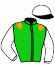 casaque portée par Nobili M. jockey du cheval de course JEVOUSVOISENCORE, information pmu ZETURF casaque portée par Nobili M. jockey du cheval de course JEVOUSVOISENCORE, information pmu ZETURF