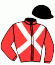 casaque portée par Nabet K. jockey du cheval de course LE VIKING, information pmu ZETURF casaque portée par Nabet K. jockey du cheval de course LE VIKING, information pmu ZETURF