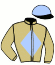 casaque portée par Chesneau A. jockey du cheval de course MERCINETTE, information pmu ZETURF