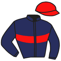 casaque portée par Prichard Mlle C. jockey du cheval de course RABELLOISE, information pmu ZETURF