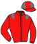 casaque portée par Gauffenic N. jockey du cheval de course RULE OF THUMB, information pmu ZETURF