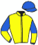 casaque portée par Lefebvre Mr C. jockey du cheval de course CANICHETTE, information pmu ZETURF casaque portée par Lefebvre Mr C. jockey du cheval de course CANICHETTE, information pmu ZETURF