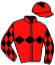 casaque portée par Thomas Dam. jockey du cheval de course LITOTE DU LANNIER, information pmu ZETURF