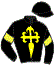 casaque portée par Trolley De Prevaux G. jockey du cheval de course CHERGUI, information pmu ZETURF