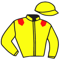 casaque portée par Bachelot T. jockey du cheval de course FLAMINGWAY, information pmu ZETURF