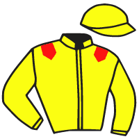 casaque portée par Bachelot T. jockey du cheval de course FLAMINGWAY, information pmu ZETURF casaque portée par Bachelot T. jockey du cheval de course FLAMINGWAY, information pmu ZETURF
