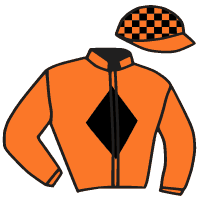 casaque portée par Velon Mlle M. jockey du cheval de course SUNRAY, information pmu ZETURF