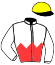 casaque portée par Lefebvre Mr C. jockey du cheval de course DOUCE AMIE, information pmu ZETURF casaque portée par Lefebvre Mr C. jockey du cheval de course DOUCE AMIE, information pmu ZETURF