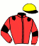 casaque portée par Charron J. jockey du cheval de course DAYTONA DU BERLAIS, information pmu ZETURF casaque portée par Charron J. jockey du cheval de course DAYTONA DU BERLAIS, information pmu ZETURF