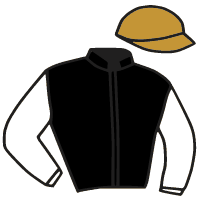 casaque portée par Reveley J. jockey du cheval de course LIGHTNING FLASH, information pmu ZETURF casaque portée par Reveley J. jockey du cheval de course LIGHTNING FLASH, information pmu ZETURF