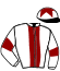 casaque portée par Gautron A. jockey du cheval de course WORKHANN, information pmu ZETURF casaque portée par Gautron A. jockey du cheval de course WORKHANN, information pmu ZETURF