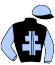 casaque portée par Piccone T. jockey du cheval de course MENDRISIO, information pmu ZETURF casaque portée par Piccone T. jockey du cheval de course MENDRISIO, information pmu ZETURF