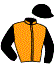 casaque portée par Andrieux T. jockey du cheval de course FELICITA, information pmu ZETURF casaque portée par Andrieux T. jockey du cheval de course FELICITA, information pmu ZETURF