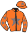 casaque portée par Dubourg K. jockey du cheval de course UNANIME, information pmu ZETURF