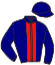casaque portée par Lecoeuvre C. jockey du cheval de course STELLANIA, information pmu ZETURF casaque portée par Lecoeuvre C. jockey du cheval de course STELLANIA, information pmu ZETURF