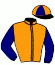 casaque portée par Wiels A. jockey du cheval de course KALINE GAUDINIERE, information pmu ZETURF casaque portée par Wiels A. jockey du cheval de course KALINE GAUDINIERE, information pmu ZETURF