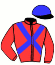 casaque portée par Lasselin J. jockey du cheval de course ETOILE MYSTIC, information pmu ZETURF