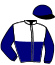 casaque portée par Andrieu F. jockey du cheval de course HOSCOTTE DE MAUPAS (FR), information pmu ZETURF