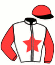 casaque portée par Delamare Mlle C. jockey du cheval de course HISTORY (FR), information pmu ZETURF
