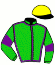 casaque portée par Vietgen-haide Mme M. jockey du cheval de course FAMILY QUEEN (FR), information pmu ZETURF