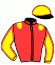 casaque portée par Puniere D. jockey du cheval de course GARY DE L'ORMERIE (FR), information pmu ZETURF