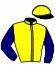 casaque portée par Da Costa Mlle C. jockey du cheval de course CLASSIC DE MARZY (FR), information pmu ZETURF