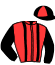 casaque portée par Raimbaud C. jockey du cheval de course HUNTING, information pmu ZETURF
